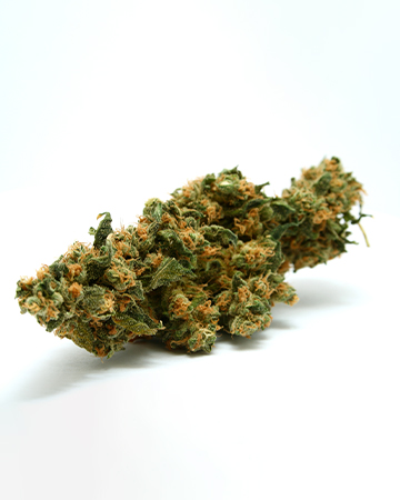 Buy Durban Poison Auto