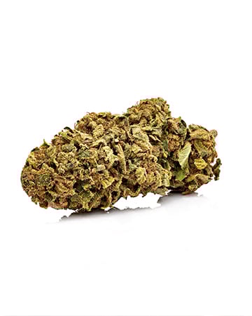Buy White Widow Auto