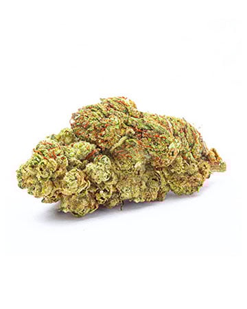 Buy Tahoe OG Seeds