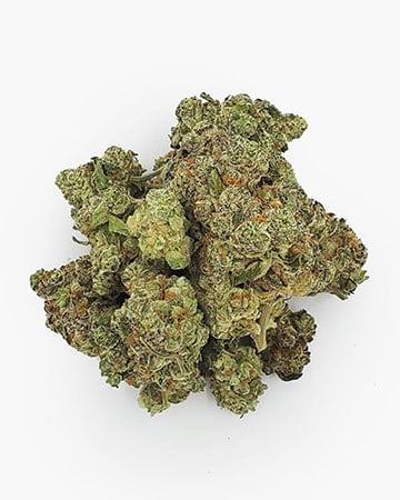 Buy Laughing Buddha Buy Laughing Buddha