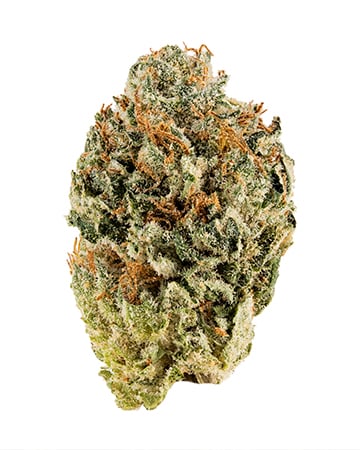 Buy Hindu Skunk Auto