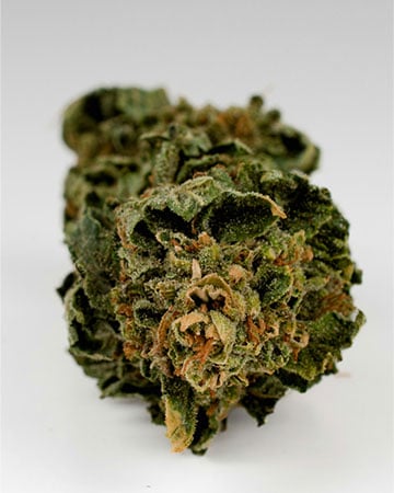 Buy Mercury OG