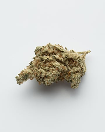 Buy Big Wreck Feminized