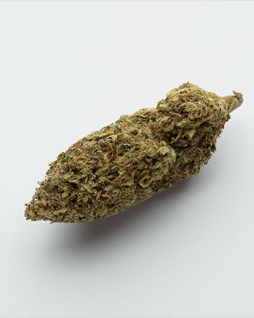 Buy Blueberry Headband