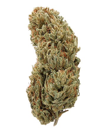 Buy Ringo's Gift CBD