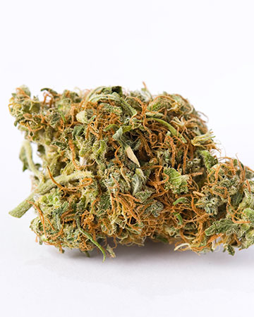 Buy Platinum Kush strain