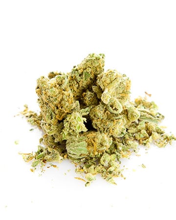 Buy Jet Fuel Seeds