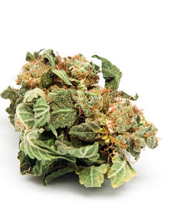 Buy Lemon OG Kush