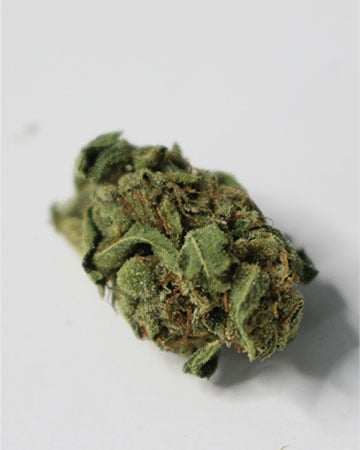 Buy Love Potion #1