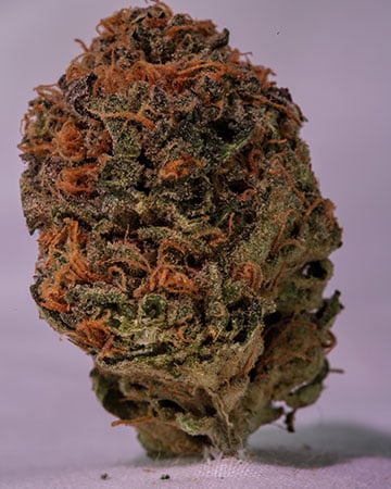 Buy Purple Punch