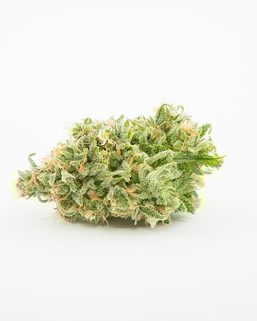 Buy Purple Sour Diesel Auto