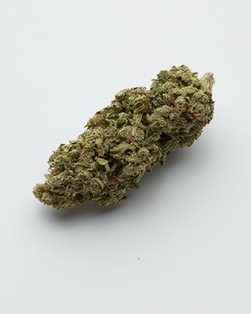 Buy White Fire Alien OG Auto