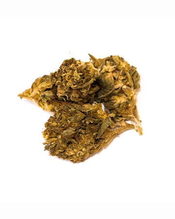 Buy Blue God Strain