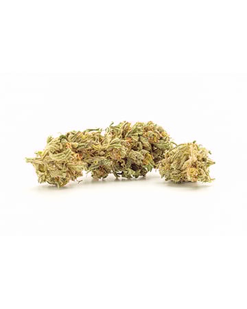 Buy Strawberry Haze Auto