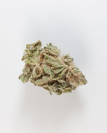 Buy Tangerine Kush Auto