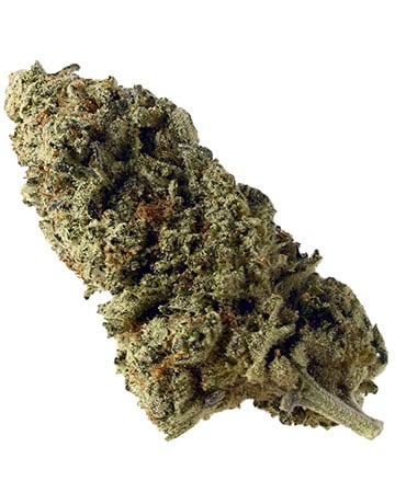 Buy Vanilla Kush