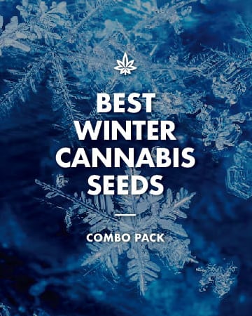 Buy The Best Winter Combo Pack