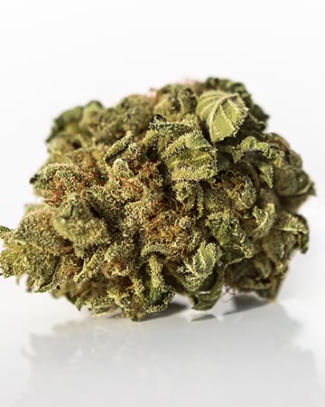 Buy Deadhead OG