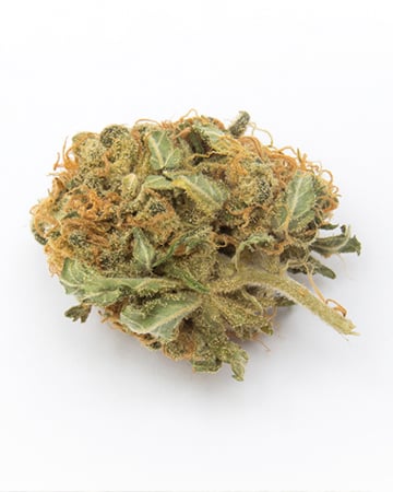 Buy Dragon's Breath Auto