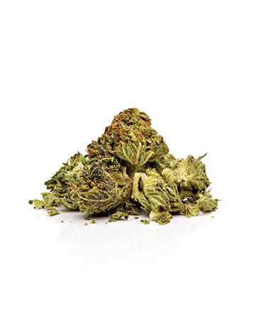 Buy Hash Plant Auto