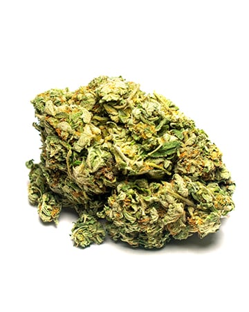 Buy Maui Auto