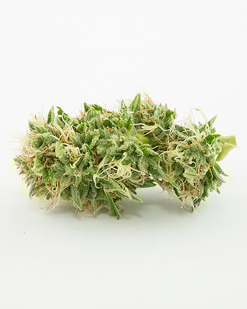 Buy Quantum Kush Auto