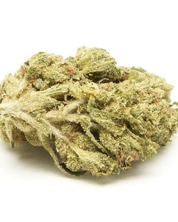 Buy White Berry