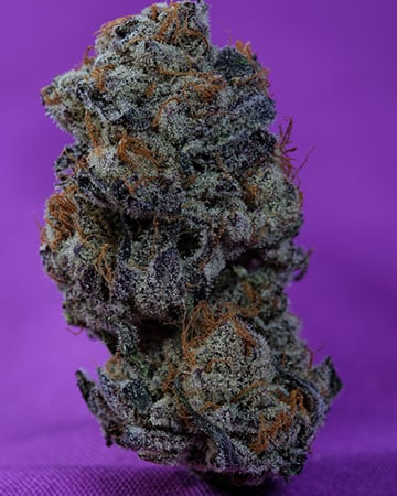 Buy Purple Diesel