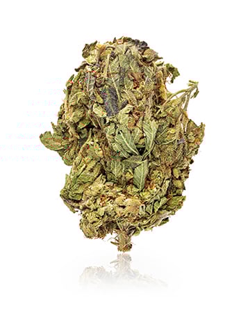 Buy Blueberry Skunk