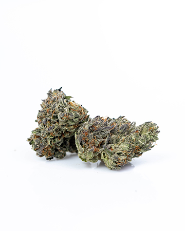 Buy Glass Slipper Auto