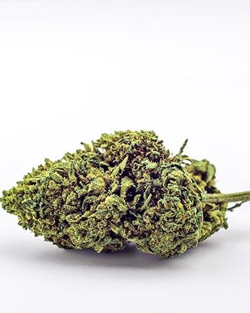 Buy Raspberry Cough Auto