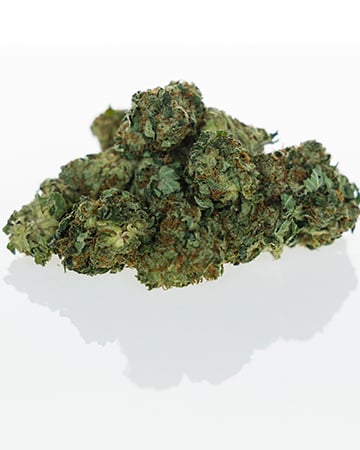 Buy Violator Kush Auto