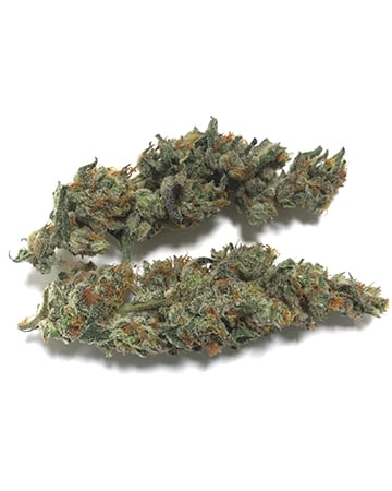 Buy Tangerine Haze Auto