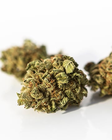 Buy Bubba OG