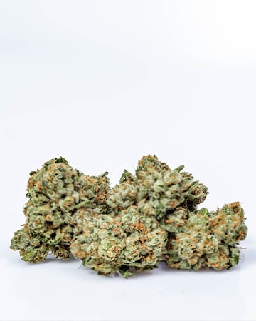 Buy White Buffalo Auto