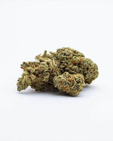 Buy Jesus OG Auto