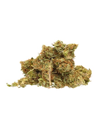 Buy White Lightning Auto