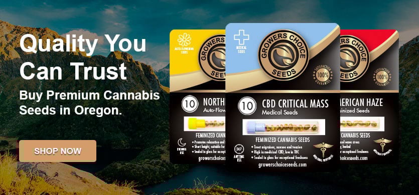 buy the best cannabis seeds in Oregon