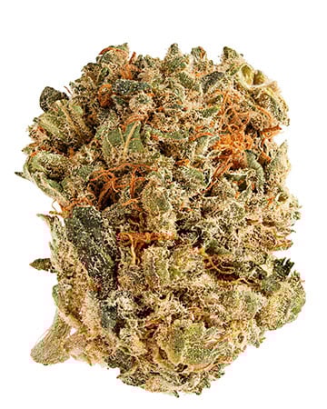 Buy King Louis XIII