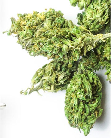 Buy Pineapple Haze