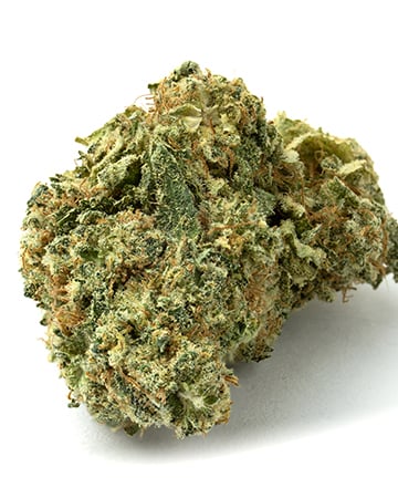 Buy Canna-Tsu Kush