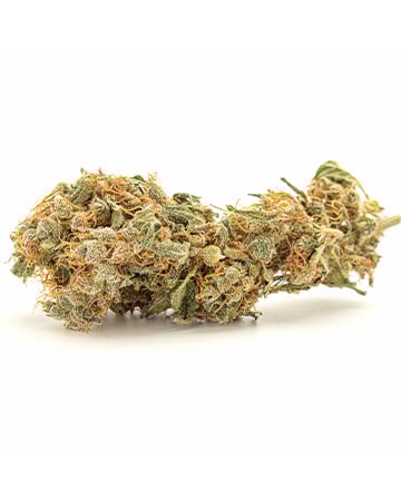 Buy Ripped Bubba Auto