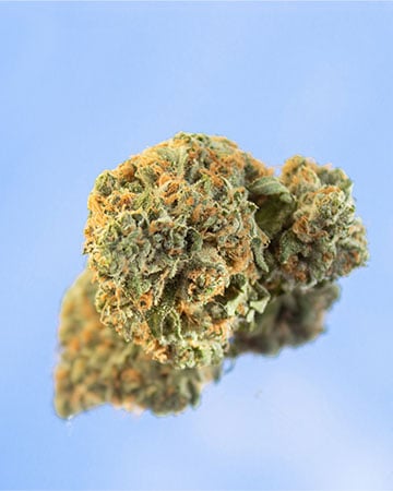 Buy Godfather OG