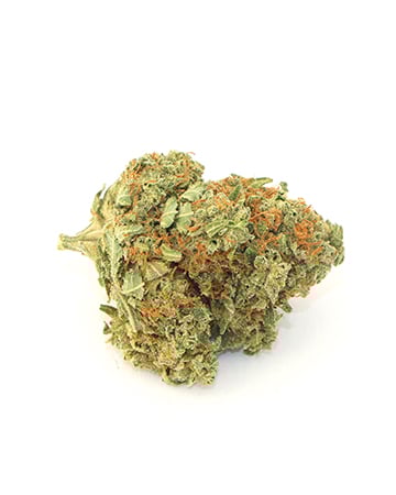 Buy Hempstar Auto