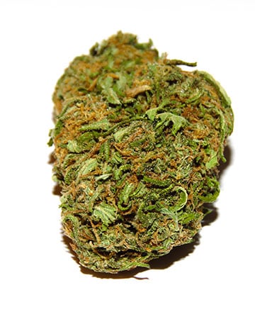 Buy Hippie Crippler