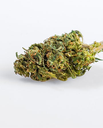 Buy Silver Haze