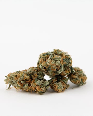 Buy Cataract Kush Auto