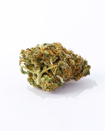 Buy Platinum Bubba Kush Auto