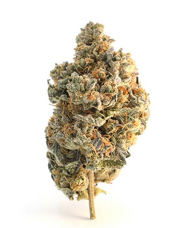 Buy Grape Kush
