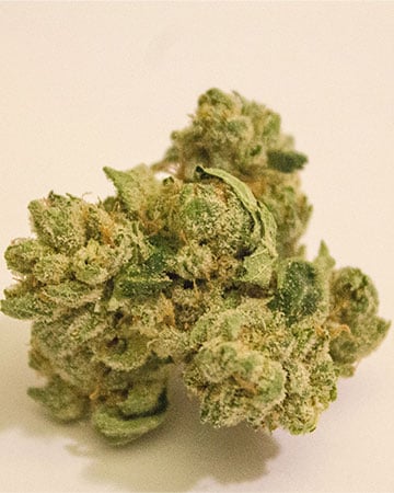Buy Pineapple Trainwreck